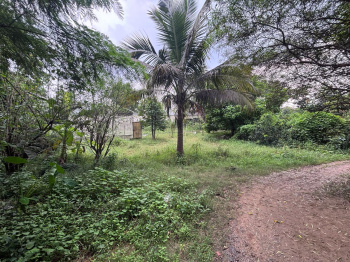 38 Decimal Prime plot available in Morabadi Chiraundi, urban homes