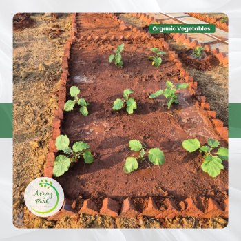 Property for sale in Kamshet, Pune