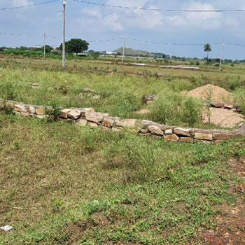800 Sq.ft. Residential Plot for Sale in Badagaon, Gwalior