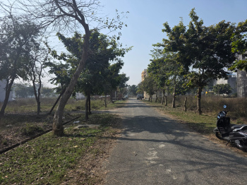 Residential Plot for Sale in New Moradabad, Moradabad (135 Sq. Meter)