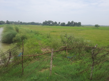 Property for sale in Mancheswar, Khordha