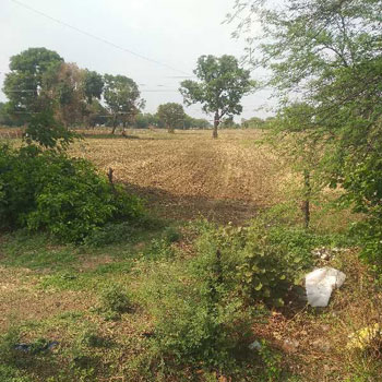 2.5 Acre Agricultural/Farm Land for Sale in Ichhawar, Sehore