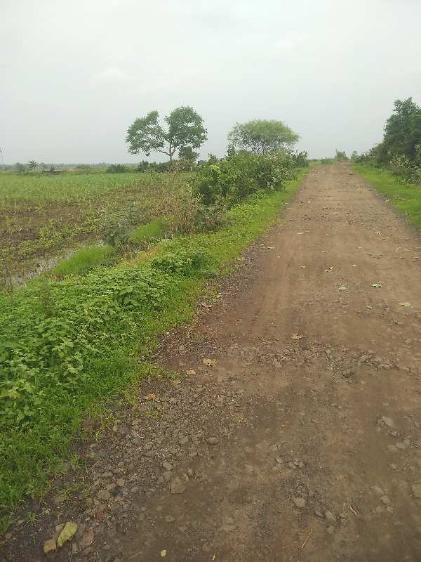 2 Acre Agricultural/Farm Land for Sale in Bilkisganj, Sehore