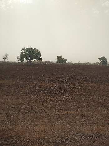 10 Acre Agricultural/Farm Land for Sale in Kolar Road, Bhopal