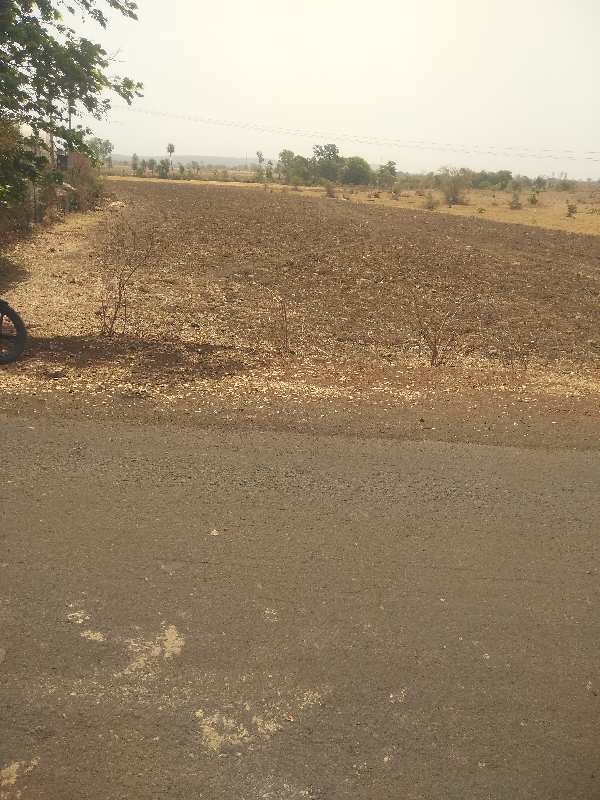 6 Acre Agricultural/Farm Land For Sale In Kolar Road, Bhopal