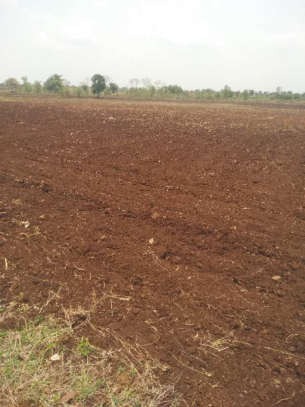 4 Acre Agricultural/Farm Land for Sale in Ichhawar, Sehore