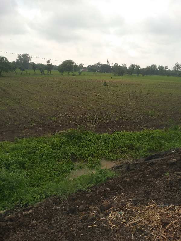 2 Acre Agricultural/Farm Land for Sale in Bilkisganj, Sehore
