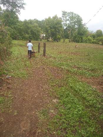 10 Acre Agricultural/Farm Land for Sale in Bilkisganj, Sehore