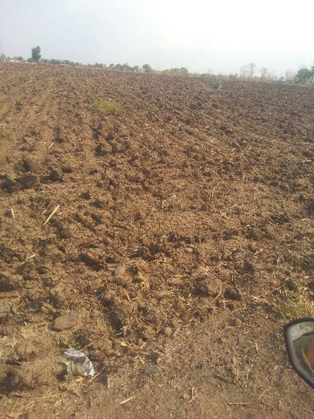 36 Acre Agricultural/Farm Land for Sale in Kolar Road, Bhopal