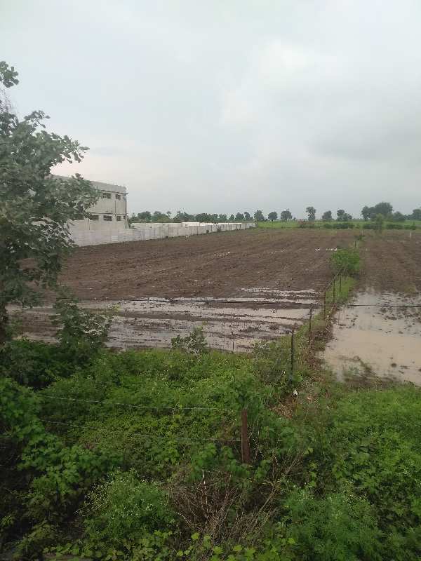 1.60 Acre Agricultural/Farm Land for Sale in Ichhawar, Sehore