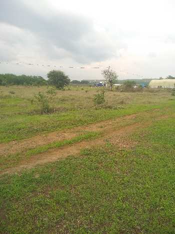 22000 Sq.ft. Agricultural/Farm Land for Sale in Phanda, Bhopal