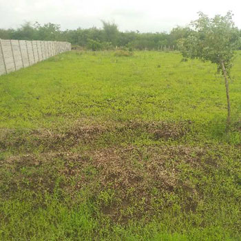 Property for sale in Neelbad, Bhopal