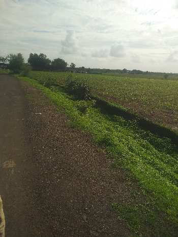 23 Acre Agricultural/Farm Land for Sale in Kolar Road, Bhopal