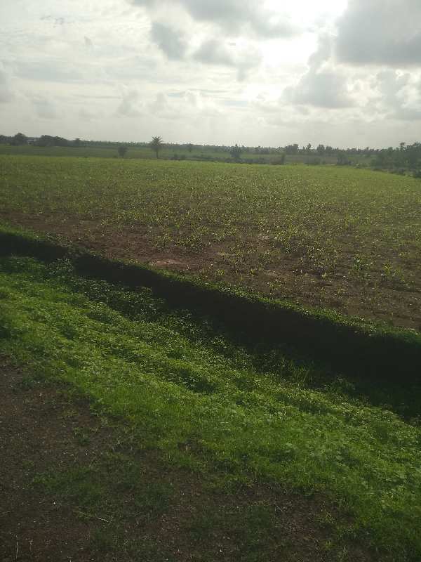 23 Acre Agricultural/Farm Land for Sale in Kolar Road, Bhopal