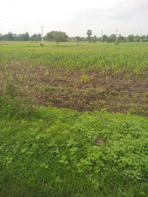 15 Acre Agricultural/Farm Land for Sale in Kolar Road, Bhopal