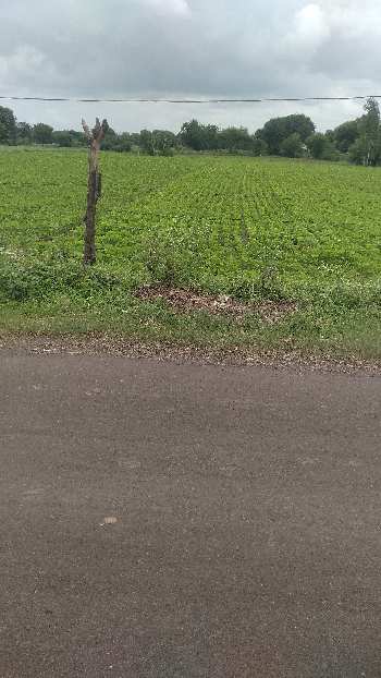 1 Acre Agricultural/Farm Land for Sale in Bilkisganj, Sehore