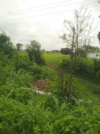 3.75 Acre Agricultural/Farm Land for Sale in Bilkisganj, Sehore