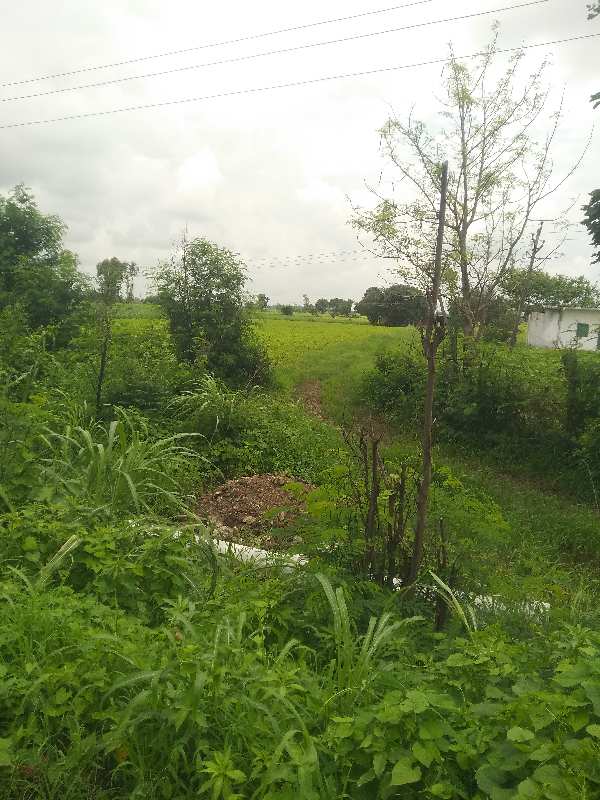 3.75 Acre Agricultural/Farm Land for Sale in Bilkisganj, Sehore