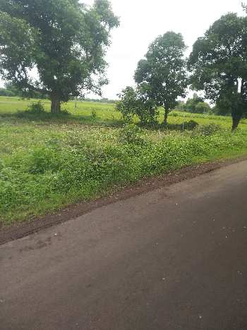 2.65 Acre Agricultural/Farm Land for Sale in Bilkisganj, Sehore