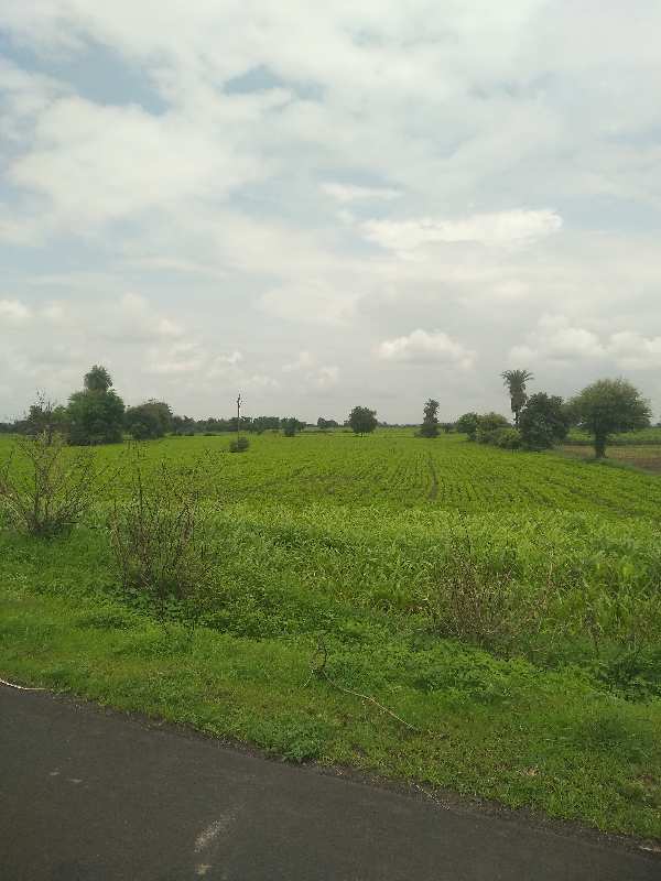 4 Acre Agricultural/Farm Land for Sale in Bilkisganj, Sehore
