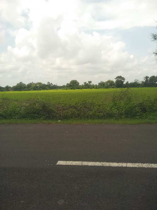 13 Acre Agricultural/Farm Land for Sale in Bilkisganj, Sehore