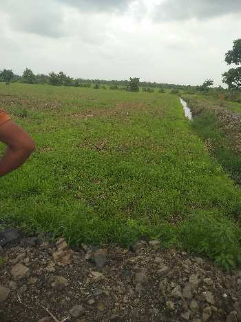11 Acre Agricultural/Farm Land for Sale in Bilkisganj, Sehore