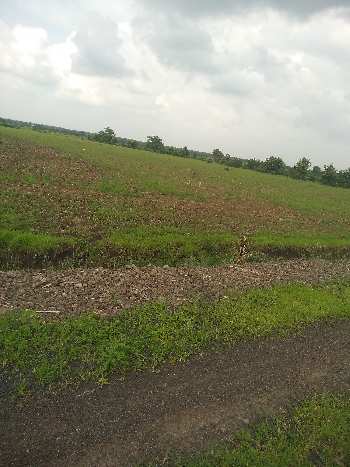 4 Acre Agricultural/Farm Land for Sale in Bilkisganj, Sehore