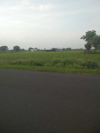 5 Ares Agricultural/Farm Land for Sale in Bilkisganj, Sehore