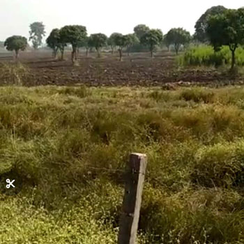 36 Acre Agricultural/Farm Land for Sale in Shyampur, Sehore