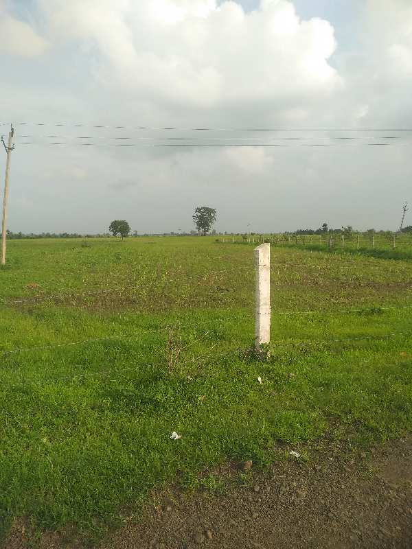 13 Acre Agricultural/Farm Land for Sale in Ratibad, Bhopal