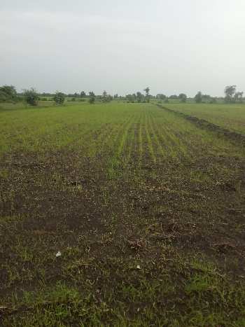 6 Acre Agricultural/Farm Land for Sale in Kolar Road, Bhopal