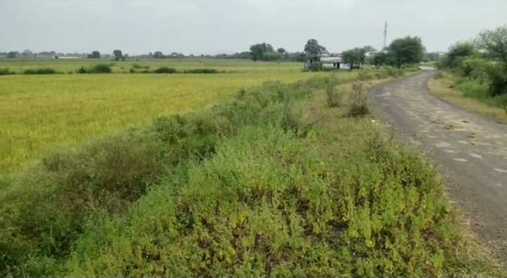 50 Acre Agricultural/Farm Land for Sale in Kolar Road, Bhopal