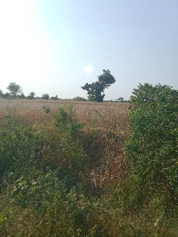10 Acre Agricultural/Farm Land for Sale in Sehore