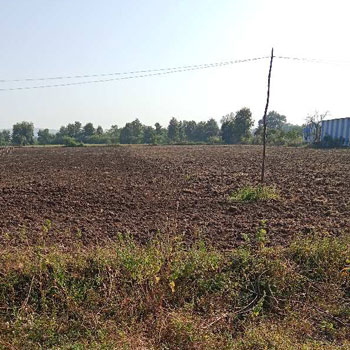 2.40 Acre Agricultural/Farm Land for Sale in Kolar Road, Bhopal