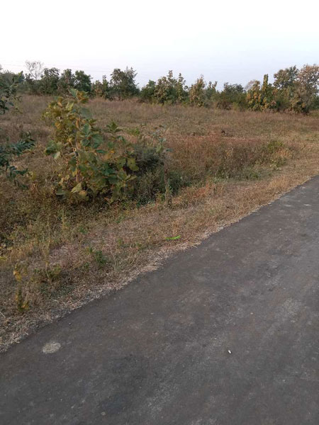 5 Acre Agricultural/Farm Land for Sale in Kolar Road, Bhopal
