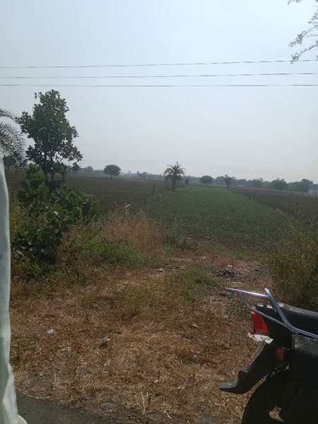7 Acre Agricultural/Farm Land for Sale in Ratibad, Bhopal