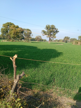 2.62 Acre Agricultural/Farm Land for Sale in Bilkisganj, Sehore