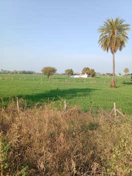 10000 Sq.ft. Agricultural/Farm Land for Sale in Ratibad, Bhopal