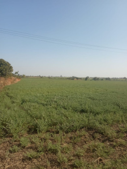 6 Acre Agricultural/Farm Land for Sale in Anwali Kheda, Sehore