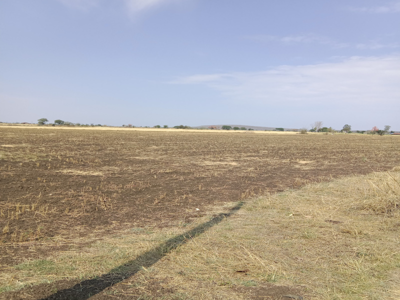 6 Acre Agricultural/Farm Land for Sale in Kolar Road, Bhopal