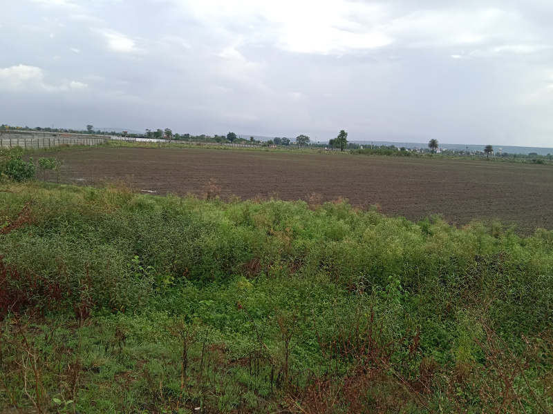 8 Acre Agricultural/Farm Land for Sale in Kolar Road, Bhopal
