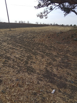 6 Acre Agricultural/Farm Land for Sale in Ichhawar, Sehore