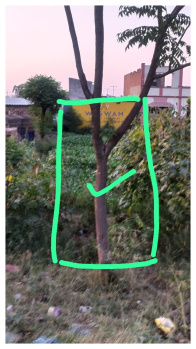 Property for sale in Jandiala, Amritsar