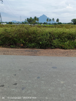 1140 Sq.ft. Residential Plot for Sale in Nallavanpalayam, Tiruvannamalai