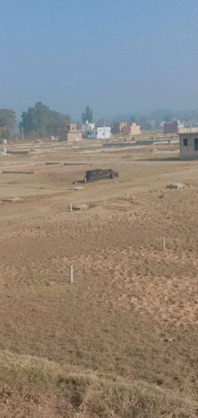 All size residential plots available in dapper near Chandigarh ambala Highway