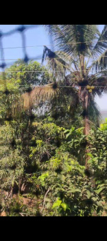 Property for sale in Malvan, Sindhudurg