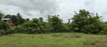 Residential Plot for Sale in Kudal, Sindhudurg (30 Guntha)