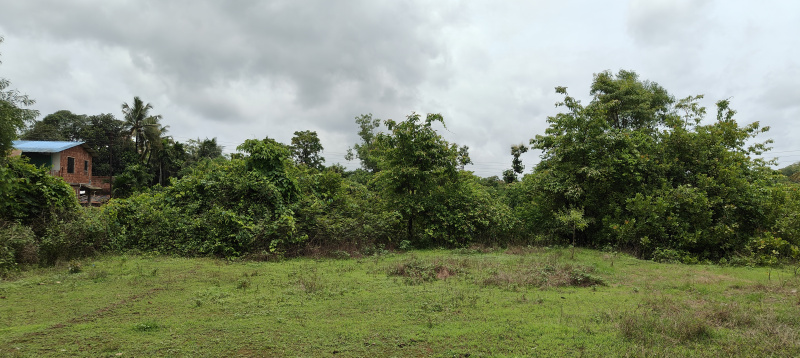 Residential Plot For Sale In Kudal, Sindhudurg (30 Guntha)