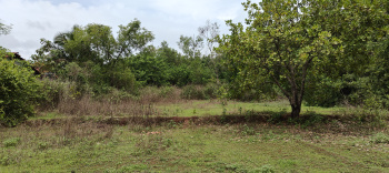 Property for sale in Kudal, Sindhudurg