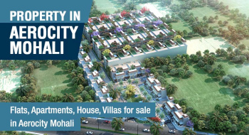 Property for sale in Aerocity, Mohali